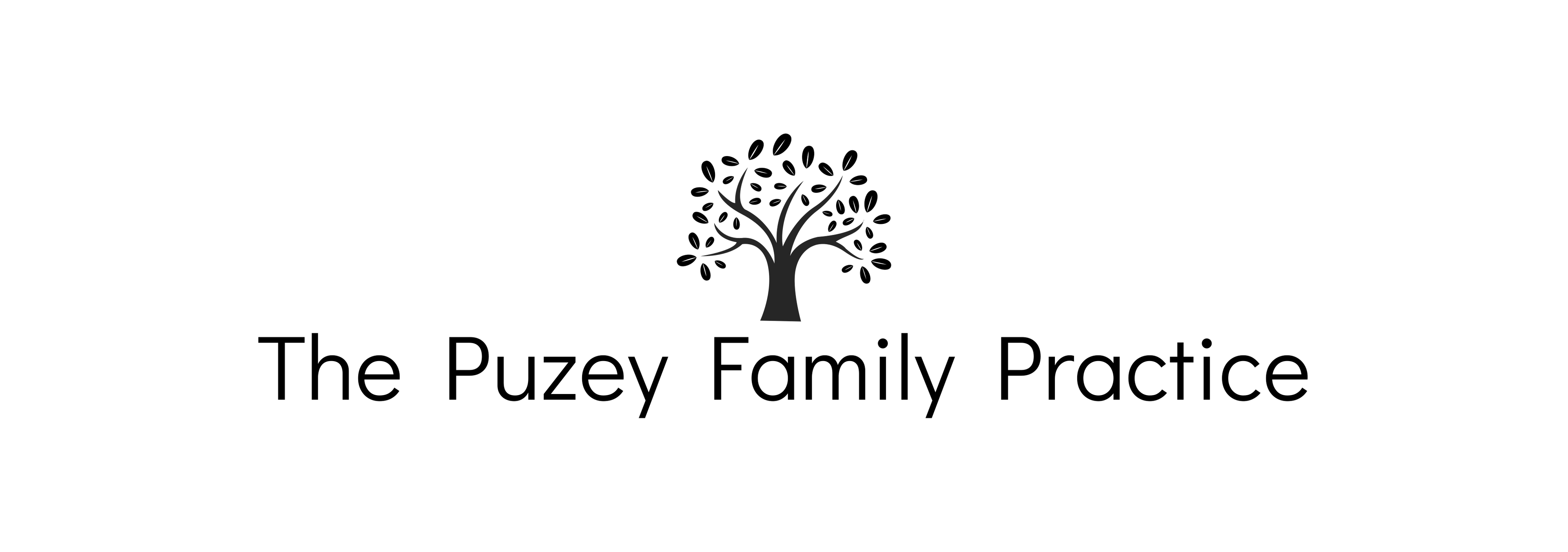 Puzey logo